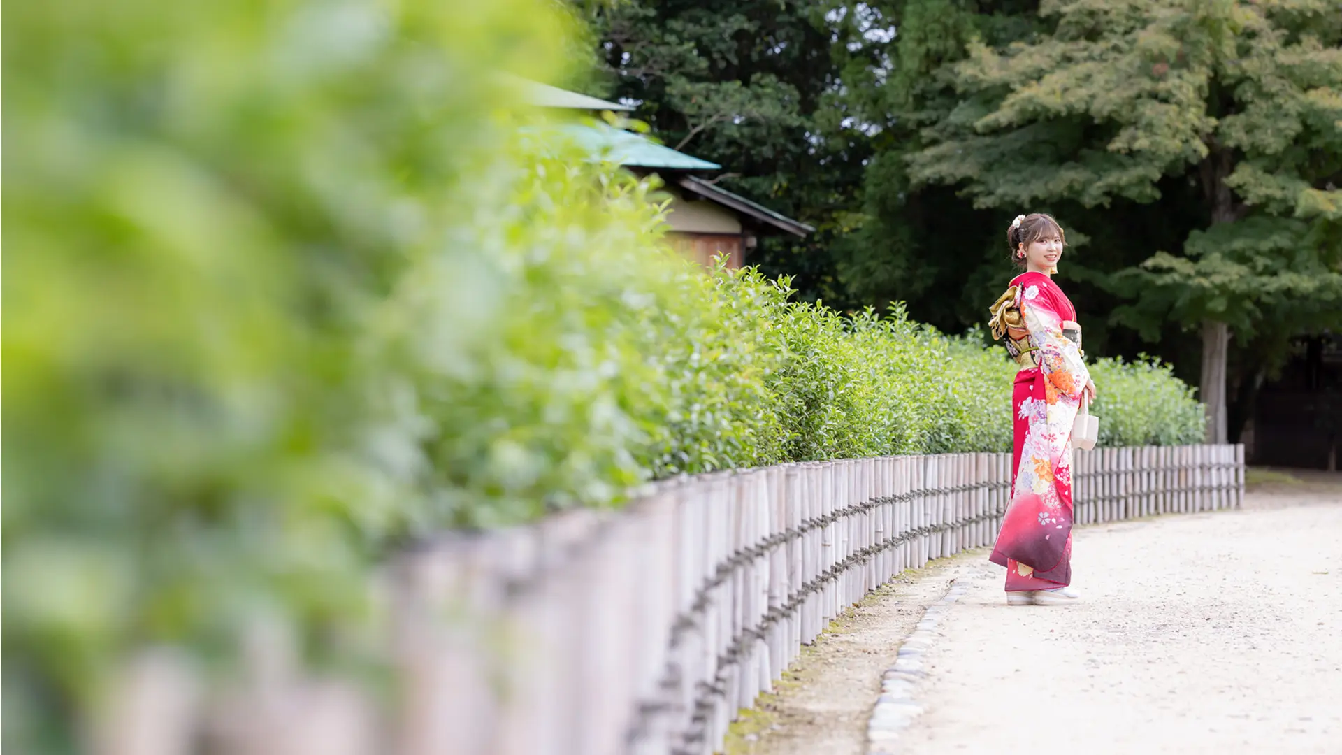 デザインアルバムのイメージ写真