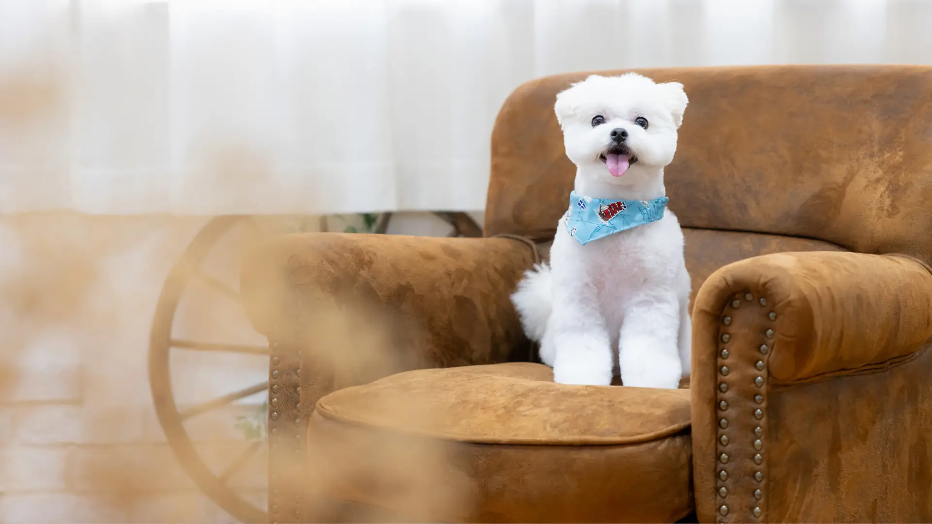 デザインアルバムのイメージ写真